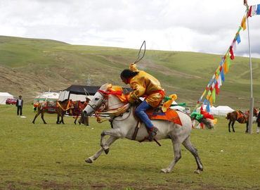 Horse Racing Festival Horse Racing Festival