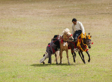 Horse Racing Festival Horse Racing Festival
