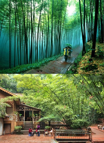 Malaysia Chengdu Shunan Bamboo Sea Emei Jiuzhaigou Tour Malaysia Chengdu Shunan Bamboo Sea Emei Jiuzhaigou Tour