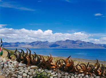 During summer time, pilgrims gratefully take bath in the lake and drink the water of Manasarovar. They also think plants in the lake are magical medicines. During summer time, pilgrims gratefully take bath in the lake and drink the water of Manasarovar. They also think plants in the lake are magical medicines.