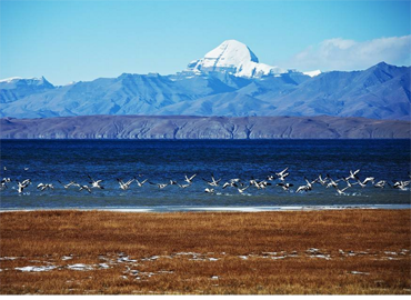 On the shore of the Lake Manasarovar, there are some monasteries. An ancient one called Chiu Gompa Monastery has been built right onto a steep hill. On the shore of the Lake Manasarovar, there are some monasteries. An ancient one called Chiu Gompa Monastery has been built right onto a steep hill.