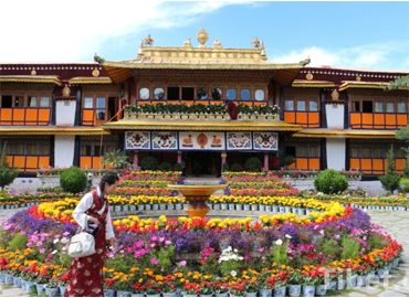 Takten Migyur Potrang built in 1954 by 14th Dalai Lama is called the New Palace Takten Migyur Potrang built in 1954 by 14th Dalai Lama is called the New Palace