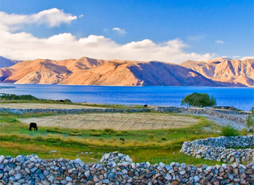 Pangongtso Lake shows blue uner the sky. Pangongtso Lake shows blue uner the sky.