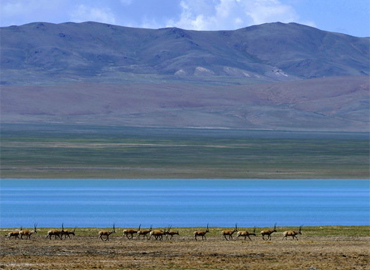 Dungtso is so beautiful like a blue diamond mounted in the ground. Dungtso is so beautiful like a blue diamond mounted in the ground.