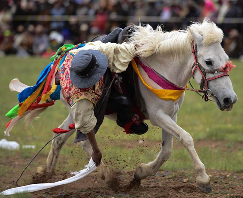The period from July to August can be marked as an ideal time to experience the Tibetan Horse Festivals Horse racing competition.