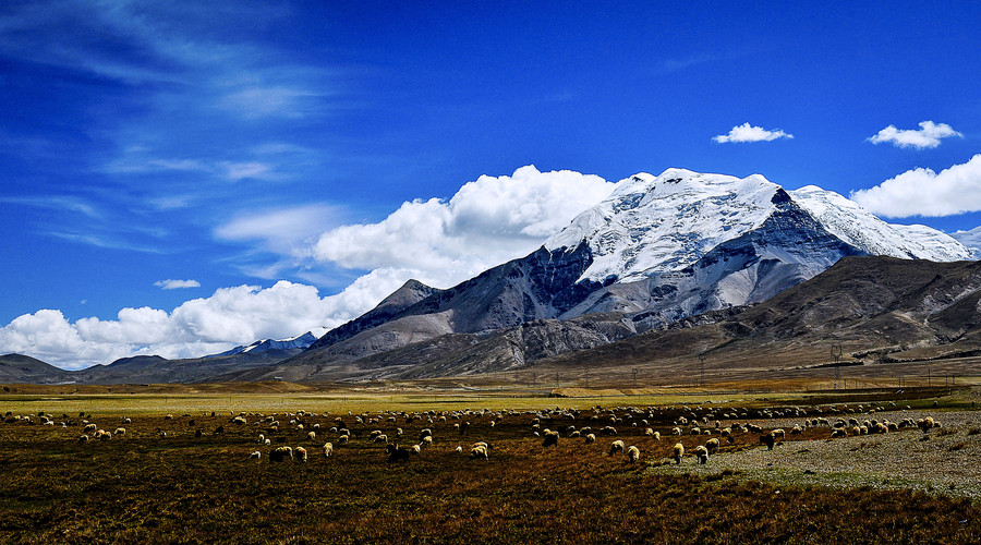 You can enjoy beautiful pastures in Tibet Pasture in Tibet