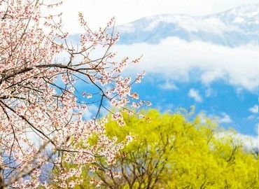 Tibet Tibet