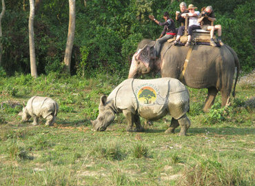 Fun to see animals at close range in the jungle. Fun to see animals at close range in the jungle.