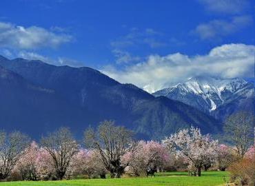 Nyingchi is also been called Switzerland in Eastern.
