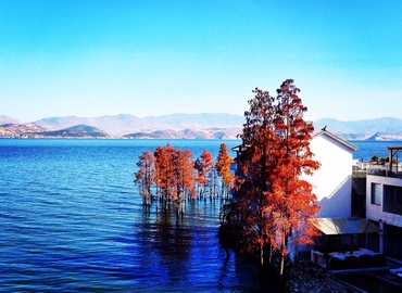 See blue see, clear sky, and Romantic theme at Erhai. See blue see, clear sky, and Romantic theme at Erhai.
