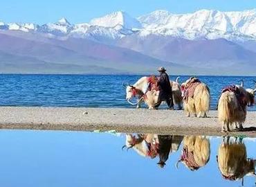 Namtso Lake is the highest saltwater lake in the world.