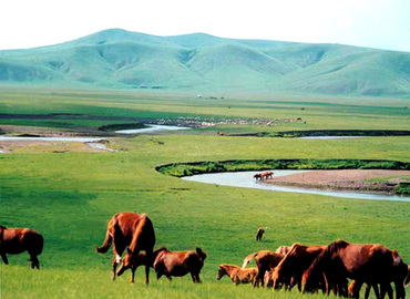 Qiangtang means "northern highland". This prairie located among the Kunlun, Tanggula and Gangdese Mountains.