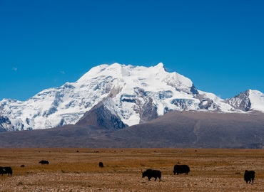 The Majestic Shishapangma.