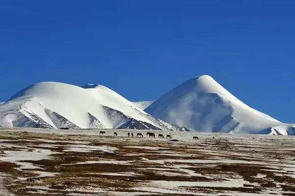 Kunlun Mountains Where Gods Of Taoism Live   Kunlun June Snow Wonder 13 70395 