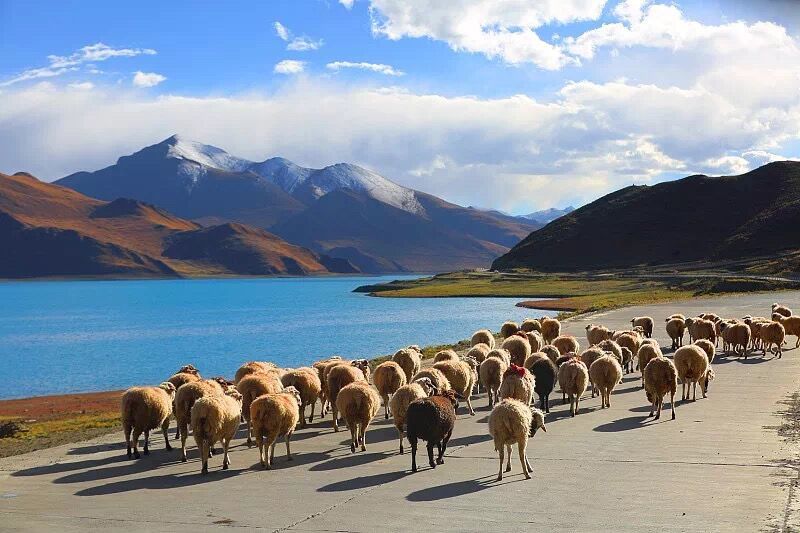 Tibet plateau scenery Tibet plateau scenery