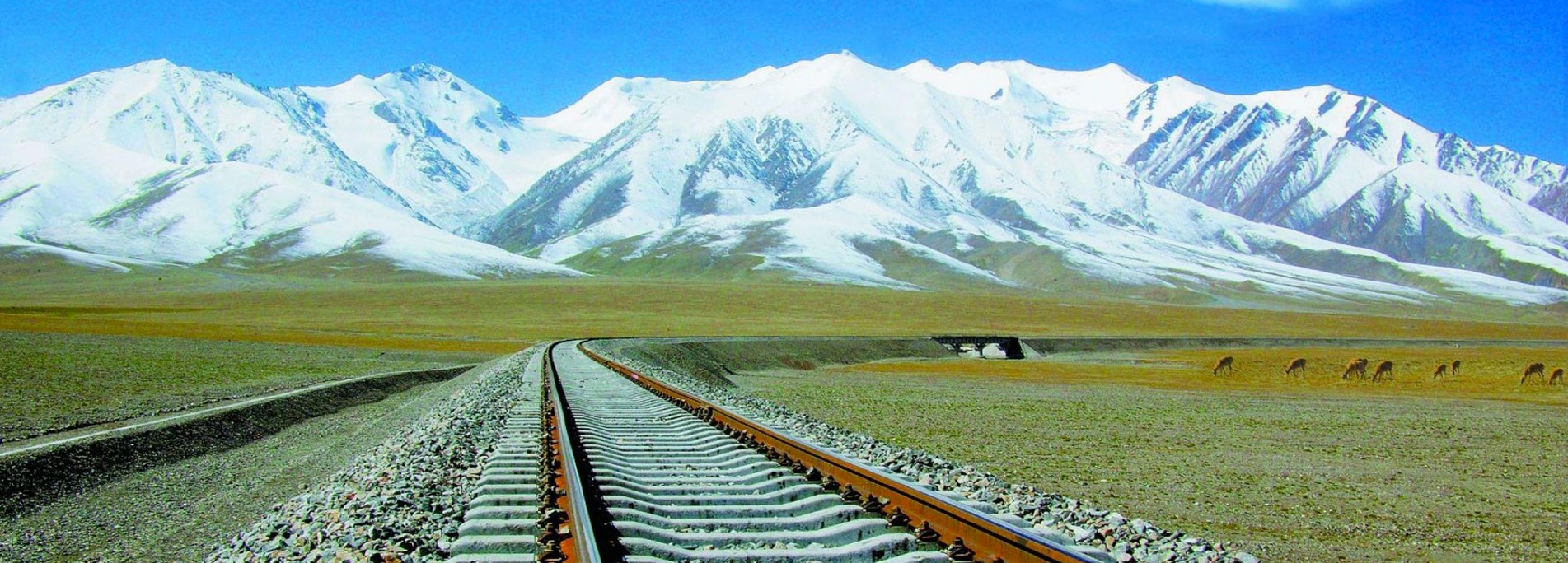 tibet train tours