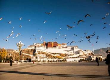 Land mark of Lhasa city - Potala Palace Land mark of Lhasa city - Potala Palace