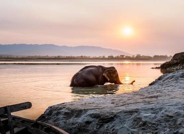 See an elephant's bathing. See an elephant's bathing.