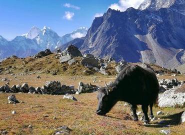 Everest Base Camp(EBC) Trek