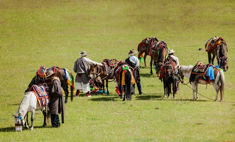 Nagqu horse racing festival Nagqu horse racing festival
