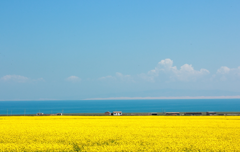Qinghai Lake