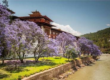 Punakha Dzong is the most beautiful Dzong in Bhutan. Punakha Dzong is the most beautiful Dzong in Bhutan.