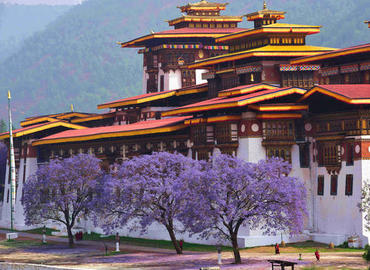 Punakha Dzong is the most beautiful Dzong in Bhutan. Punakha Dzong is the most beautiful Dzong in Bhutan.