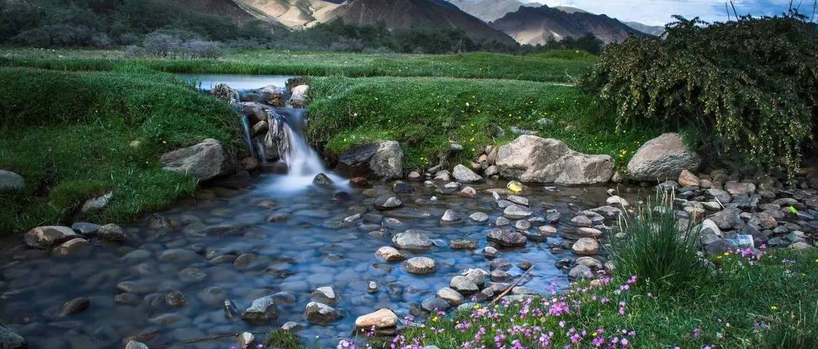 Lulang Forest is also known as a fairyland where gods live. Lulang Forest is also known as a fairyland where gods live.