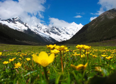 Tibet offers great trekking opportunities to all trekkers.