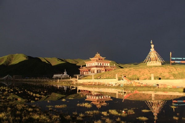 Lion and Dragon Palace