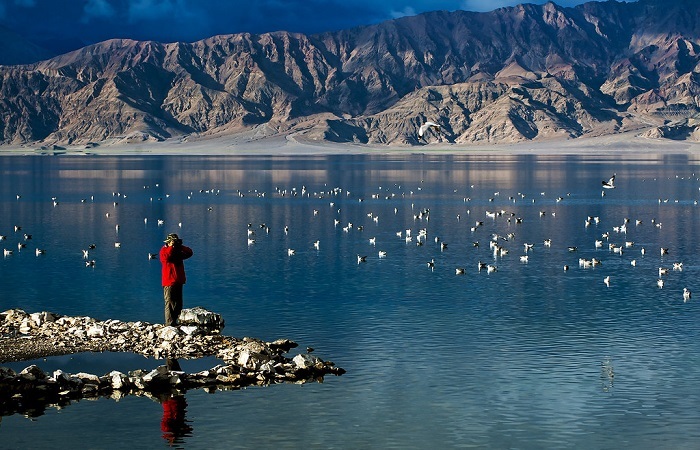 Pangong Tso Lake