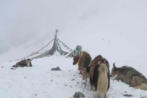 Harsh natural conditions