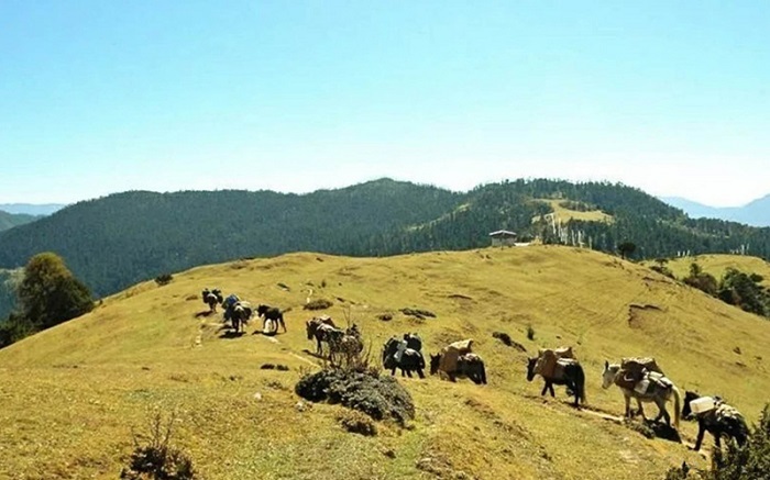 Trekking in Bhutan