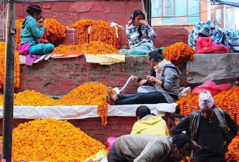 marigolds
