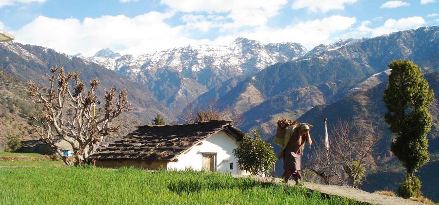Saryu Valley
