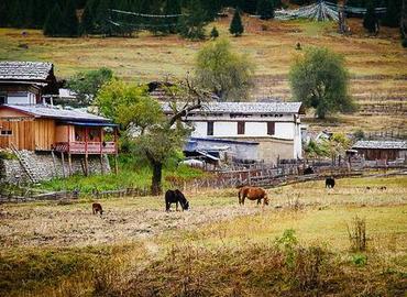 Tashigang Village Tashigang Village