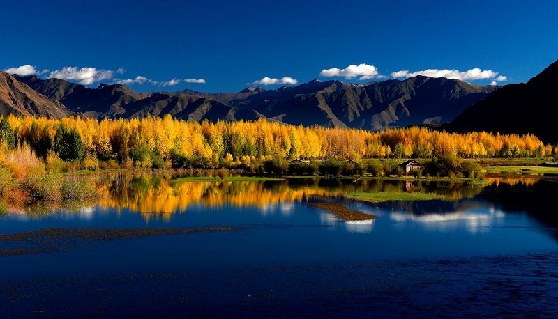 Autumn scene by Lhasa river. Autumn scene by Lhasa river.