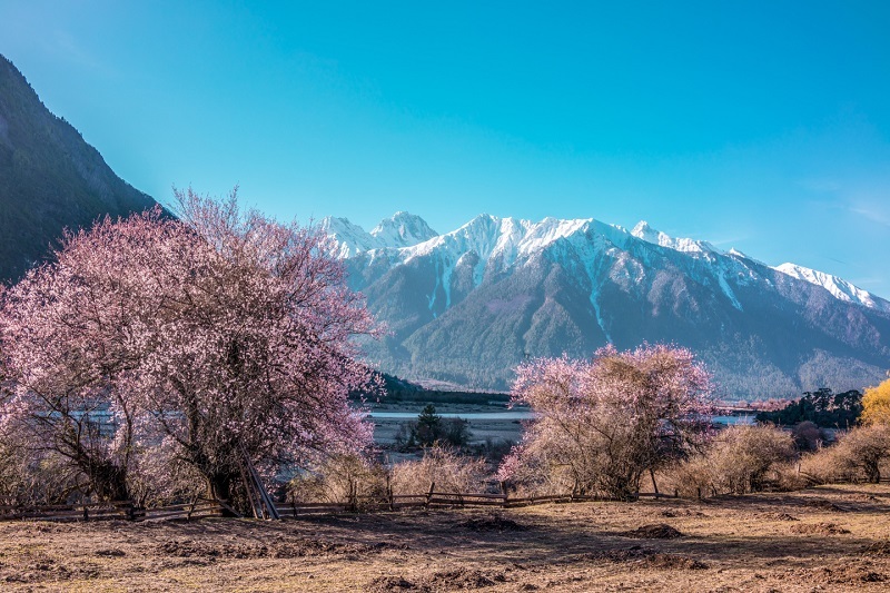 Nyingchi